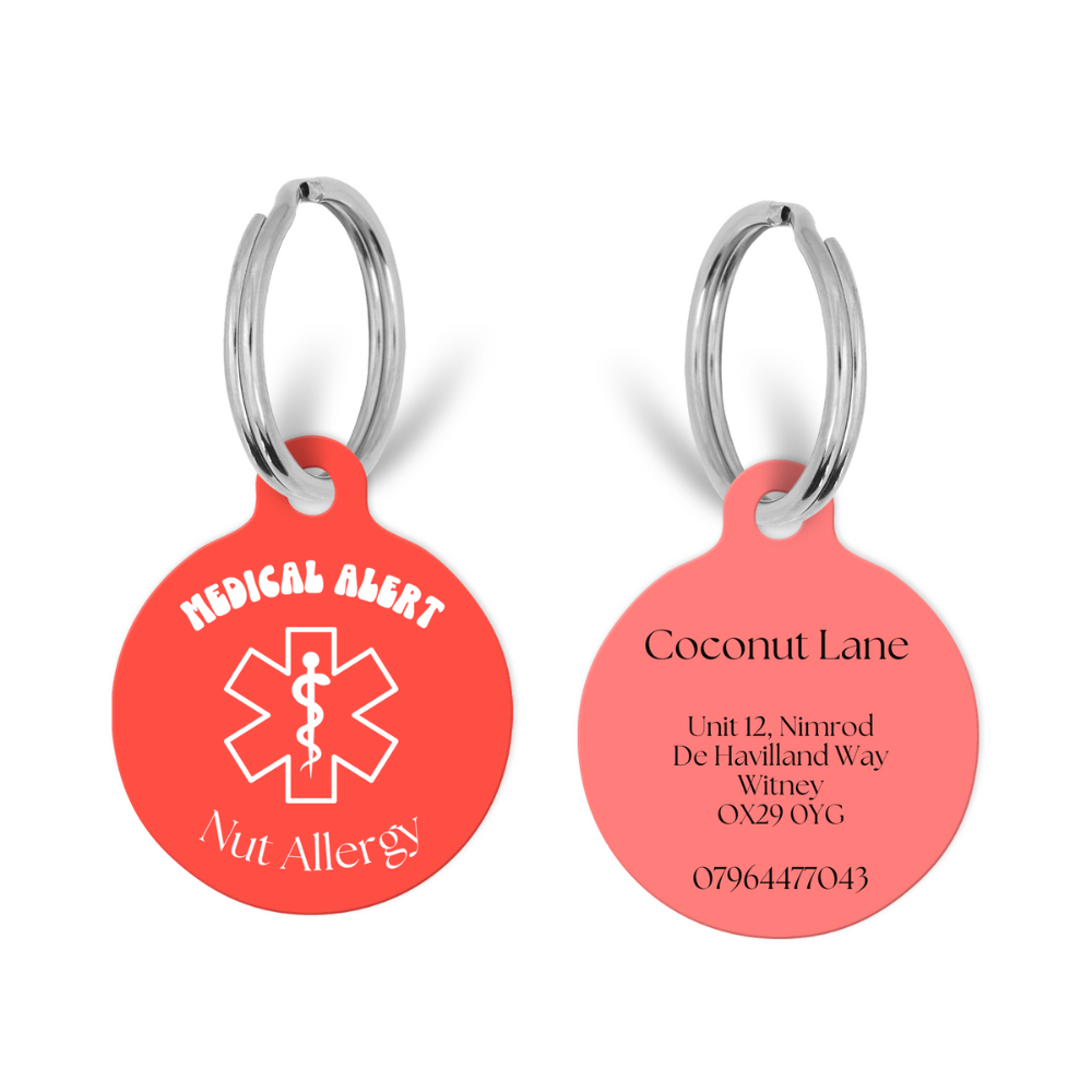 Medical Alert Keycharm