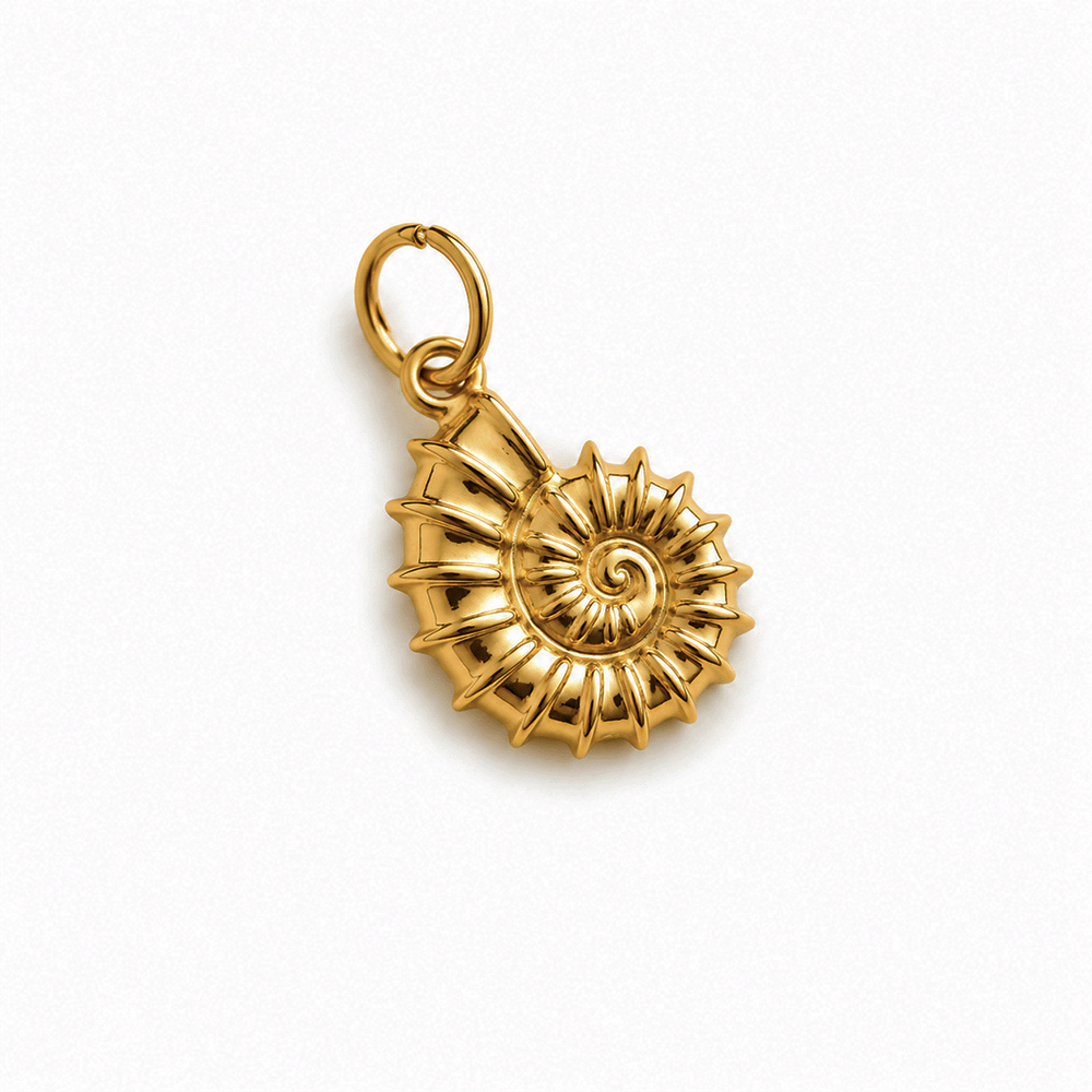 Charm - Ammonite